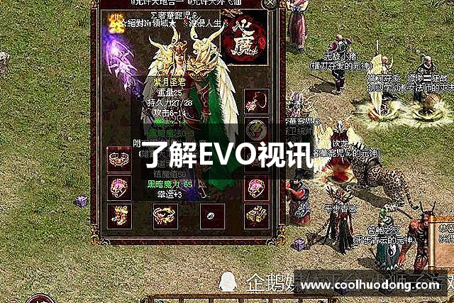 了解EVO视讯